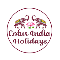 lotusindia