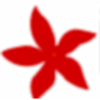 Ixoraglobal
